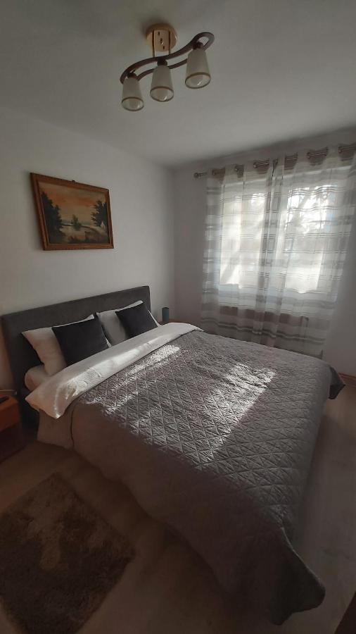 Relax Apartament Apartment Satu Mare Exterior foto